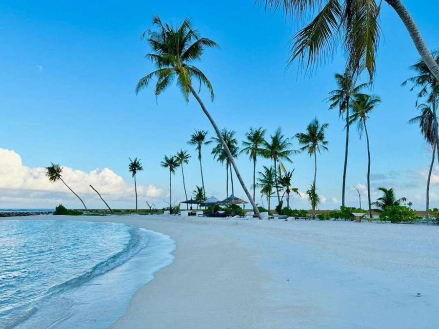 White sand beach with leaning palm trees and clear turquoise water