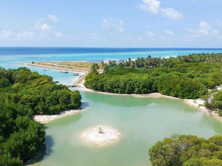 Aerial view of a green mangrove lagoon with a small sandbank, opening to the sea