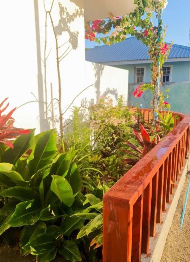 Tropical garden plants and bougainvillea beside an orange wooden railing